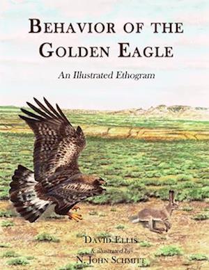 Behavior of the Golden Eagle