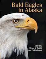 Bald Eagle in Alaska 