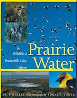 Dekker, D: Prairie Water