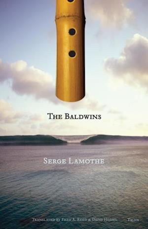 Baldwins Ebook