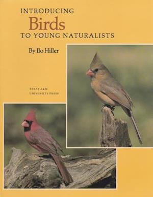 Introducing Birds to Young Naturalists