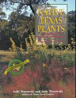 Native Texas Plants