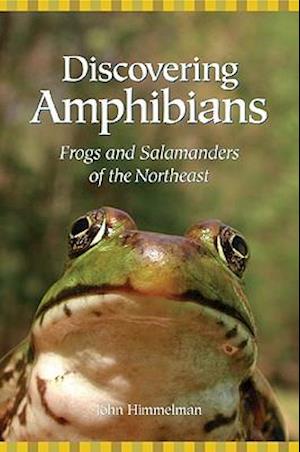 Discovering Amphibians