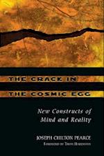 The Crack in the Cosmic Egg