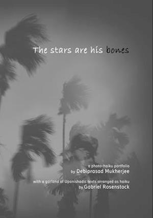 The stars are his bones: an atmospheric photo-haiku monograph with Upanishadic extracts