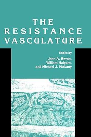 The Resistance Vasculature