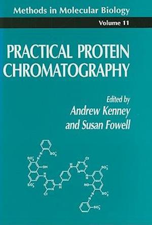 Practical Protein Chromatography