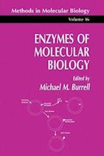 Enzymes of Molecular Biology