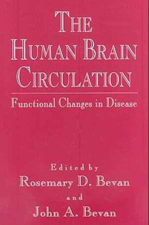 The Human Brain Circulation