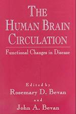 The Human Brain Circulation