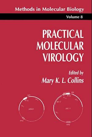 Practical Molecular Virology