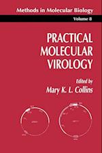 Practical Molecular Virology