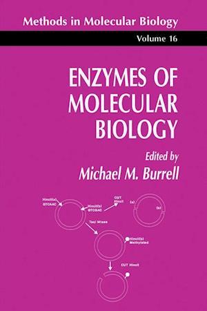 Enzymes of Molecular Biology