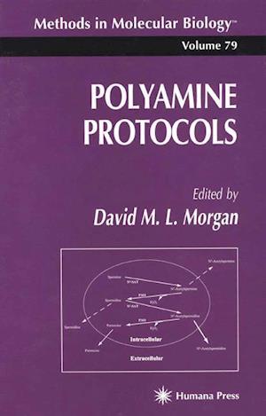 Polyamine Protocols