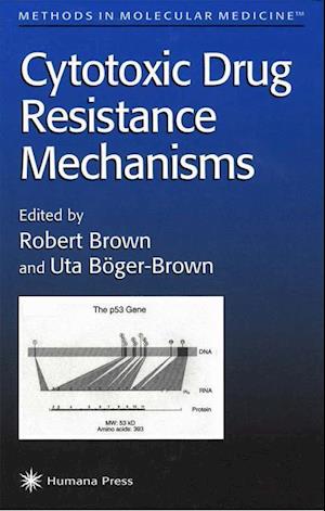 Cytotoxic Drug Resistance Mechanisms