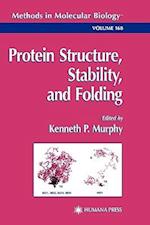 Protein Structure, Stability, and Folding