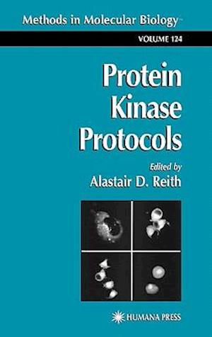 Protein Kinase Protocols