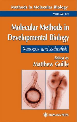 Molecular Methods in Developmental Biology