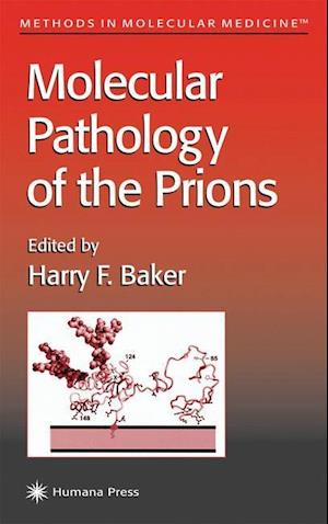 Molecular Pathology of the Prions