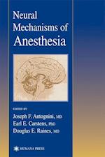 Neural Mechanisms of Anesthesia