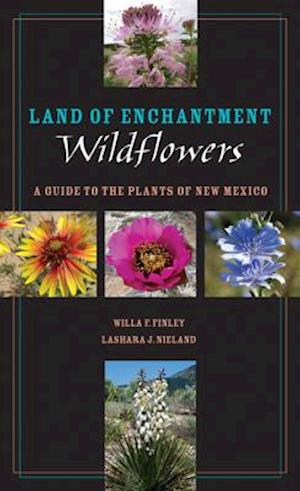 Land of Enchantment Wildflowers