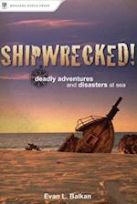 Shipwrecked!