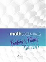 Math Essentials: Finding & Filling the Gaps 