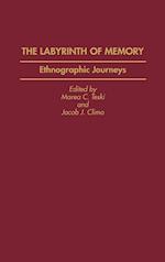 The Labyrinth of Memory
