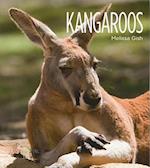 Kangaroos