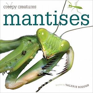 Mantises