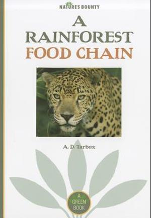 A Rainforest Food Chain