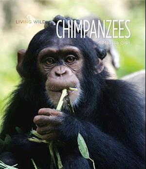 Chimpanzees