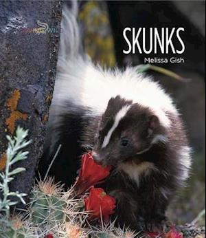 Skunks