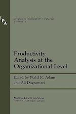 Productivity Analysis at the Organizational Level