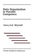 Data Organization in Parallel Computers