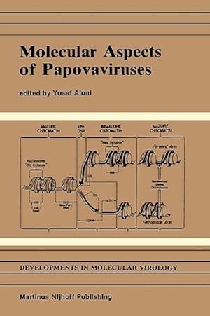 Molecular Aspects of Papovaviruses