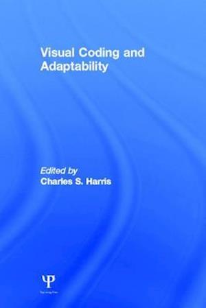 Visual Coding and Adaptability