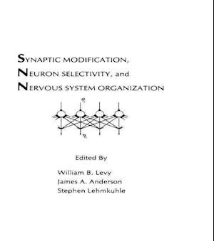 Synaptic Modification, Neuron Selectivity, and Nervous System Organization