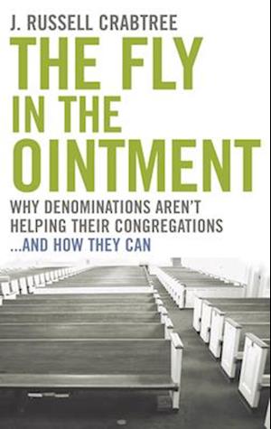 The Fly in the Ointment: Why Denominations Aren't Helping Their Congregations... and How They Can
