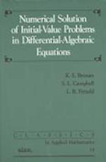 Numerical Solution of Initial Value Problems in Differential Algebraic Equations