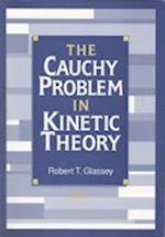 The Cauchy Problem in Kinetic Theory