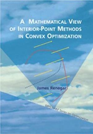 A Mathematical View of Interior-point Methods in Convex Optimization