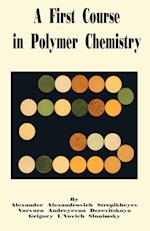 A First Course in Polymer Chemistry