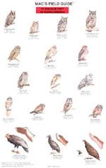 Mac's Field Guide to North American Birds of Prey