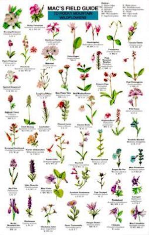 Mac's Field Guide to Rocky Mountain Wildflowers