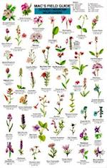 Mac's Field Guide to Rocky Mountain Wildflowers