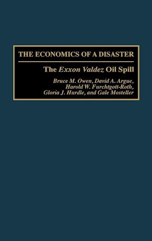 The Economics of a Disaster