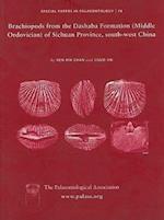 Palaeontology 74 – Brachiopods from the Dashaba Formation (Middle Ordovician) of Sichuan Province,  South–west China 74