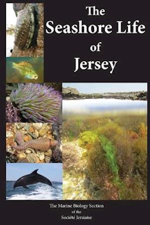 The Seashore Life of Jersey