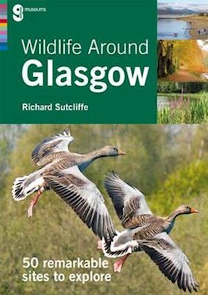 Wildlife Around Glasgow